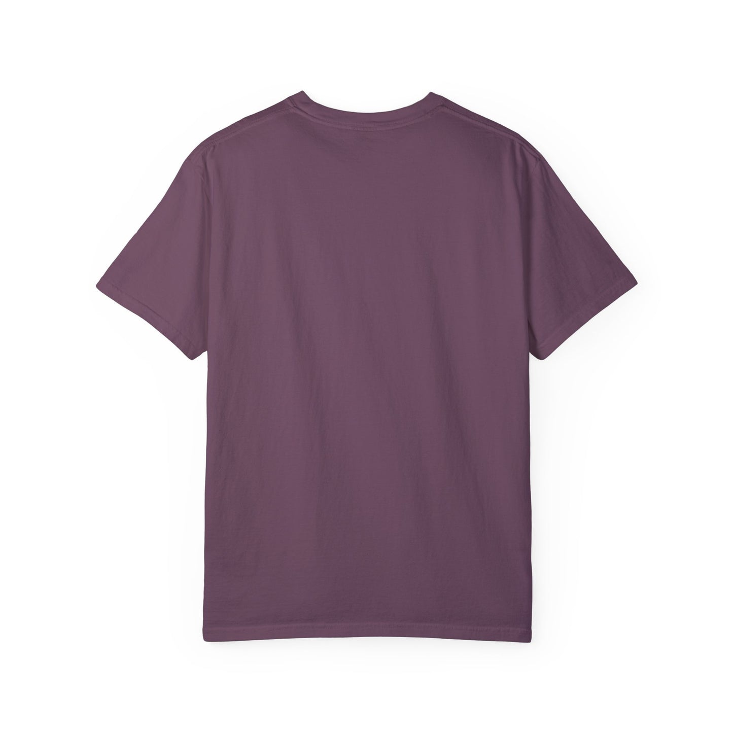 Funny Penguin Juggling Tomatoes T-Shirt